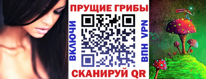 Галлюциногенные грибы прущие грибы  купить закладку  Нижняя Салда 