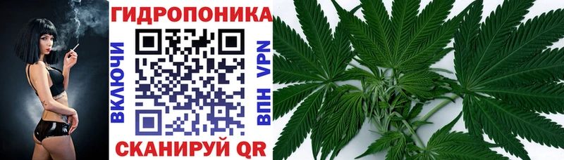 Канабис гибрид Нижняя Салда
